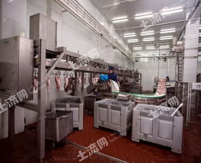 俄羅斯38250平方米現代化肉類加工廠轉讓，融合網絡技術開發新機遇